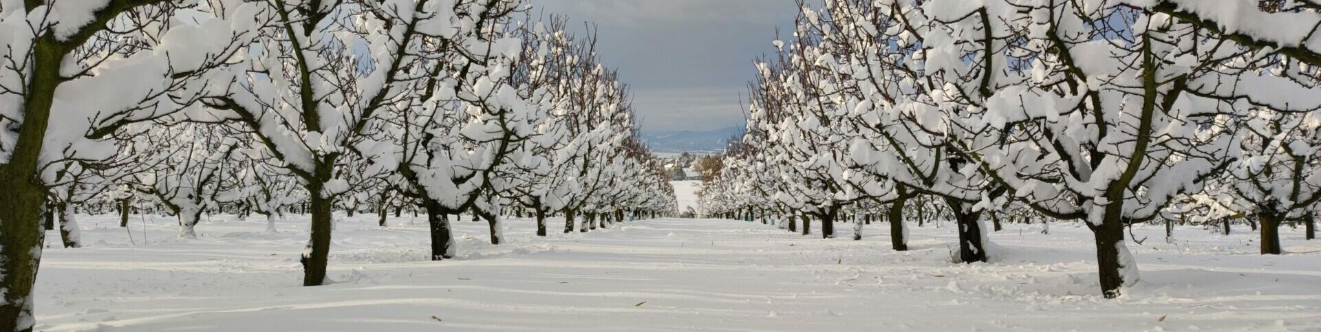 Winterstimmung